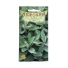 Seminte Salvie Agrosem - 0.4 grame