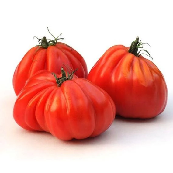 Seminte tomate Inima de Albenga - 1 gram