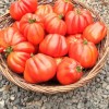 Seminte tomate Inima de Albenga - 1 gram