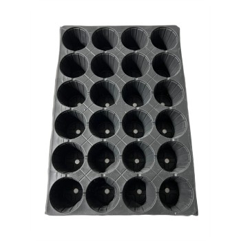 Tava alveolara pentru rasaduri - 24 celule