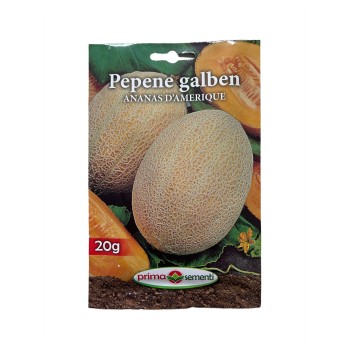 Seminte pepene galben Ananas D’Amerique - 20 grame