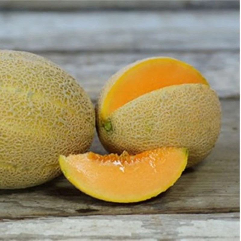 Seminte pepene galben Ananas D’Amerique - 20 grame