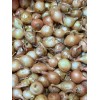 Arpagic galben Stuttgarter cal. 14-17 mm - 1 kg