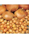 Arpagic galben Stuttgarter cal. 14-17 mm - 1 kg