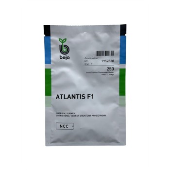 Seminte castraveti Atlantis F1 - 250 seminte
