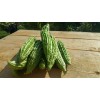 Seminte momordica Avangard amar - 1 gram
