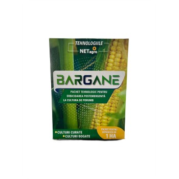 Pachet tehnologic erbicidare porumb Bargane - 1 ha