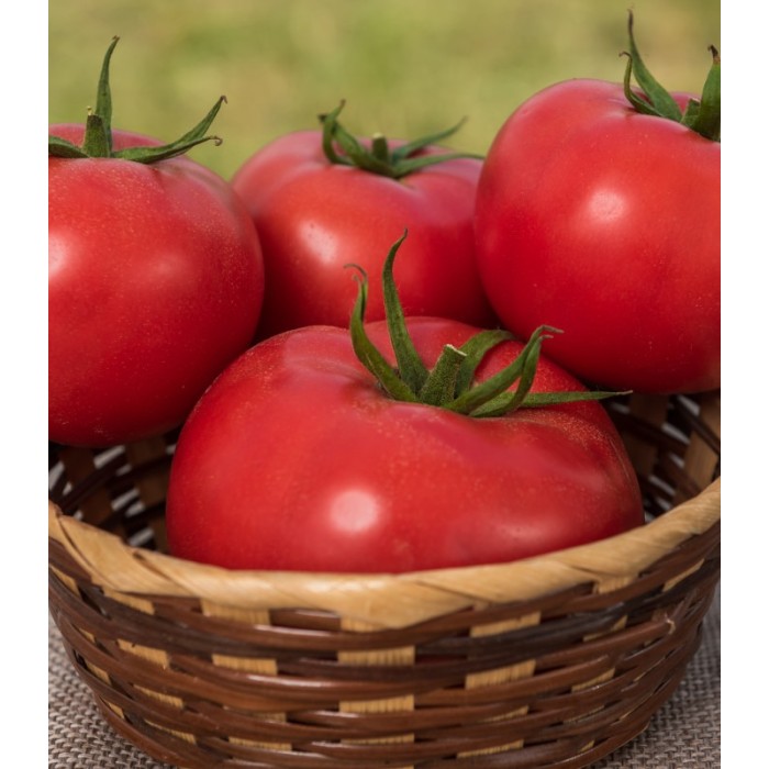 Seminte tomate Big Beef Plus F1 - 100 seminte