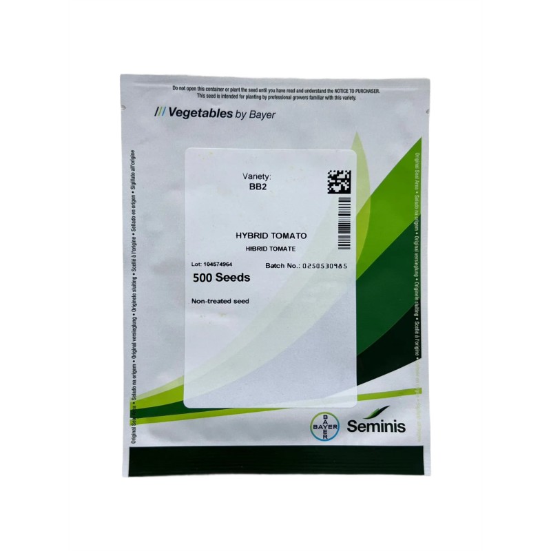 Seminte tomate Big Beef Plus F1 - 500 seminte