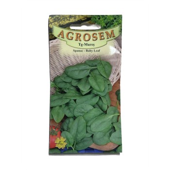 Seminte spanac Baby Leaf - 8 grame