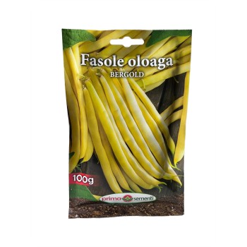 Seminte fasole oloaga Berggold - 100 grame