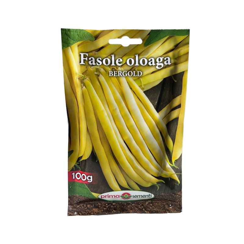Seminte fasole oloaga Berggold - 100 grame
