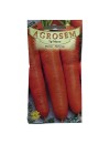 Seminte morcov Berlicum - 5 grame