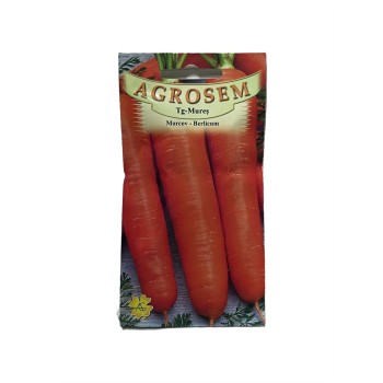 Seminte morcov Berlicum - 5 grame