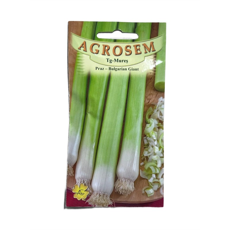 Seminte praz Bulgarian Giant - 1.5 grame