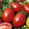 Seminte tomate Big Rio F1 - 0.3 grame
