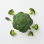 Brocoli