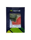 Seminte pepene verde Burebista F1 - 50 seminte