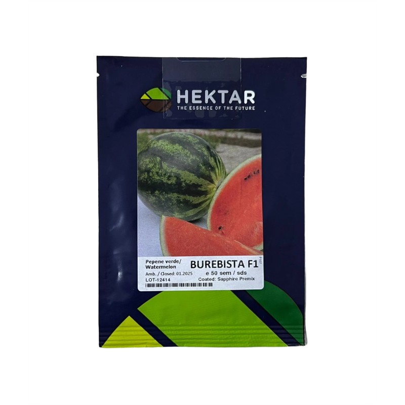 Seminte pepene verde Burebista F1 - 50 seminte