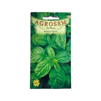 Seminte busuioc Genovese - 1.5 grame