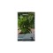 Seminte busuioc verde Large leaved - 1 gram