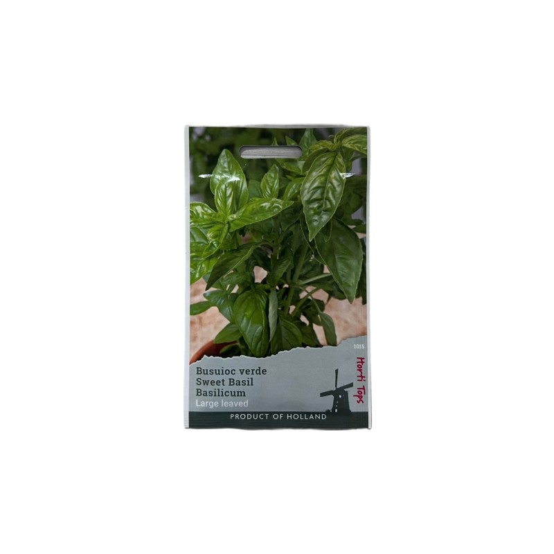 Seminte busuioc verde Large leaved - 1 gram