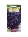 Seminte busuioc rosu Agrosem - 1 gram