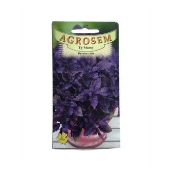 Seminte busuioc rosu Agrosem - 1 gram