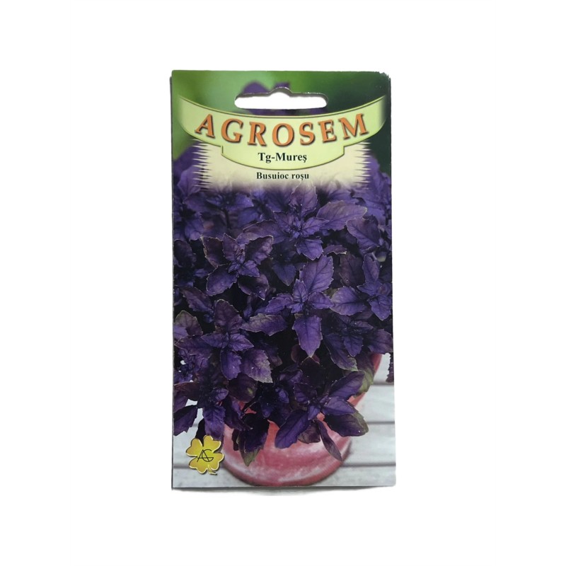Seminte busuioc rosu Agrosem - 1 gram