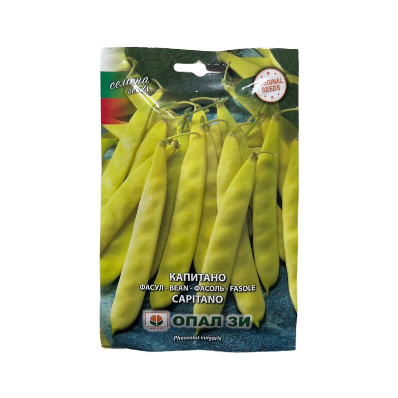 Seminte fasole pitica Capitano - 80 grame