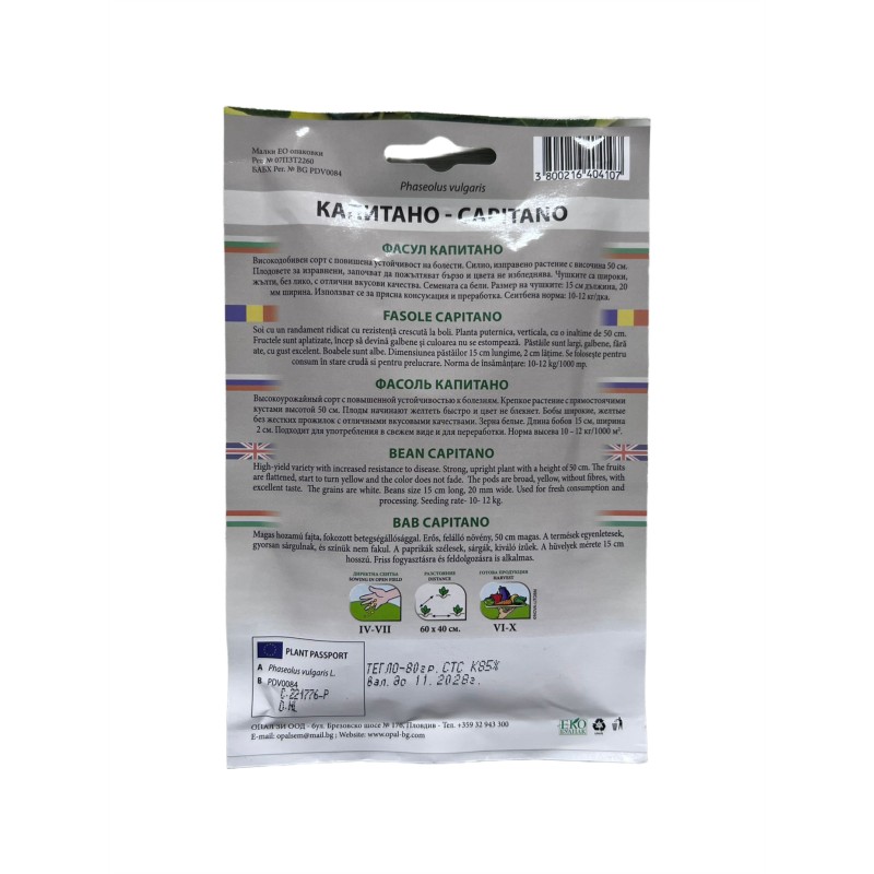 Seminte fasole pitica Capitano - 80 grame