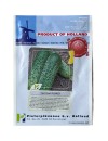 Seminte castraveti cornichon Florist - 10 grame
