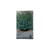 Seminte cimbrisor Echte Winter - 0.25 grame