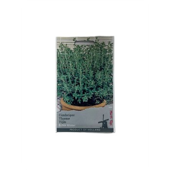 Seminte cimbrisor Echte Winter - 0.25 grame