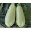 Seminte dovlecel Clarita F1 - 3.5 grame