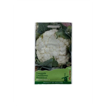 Seminte conopida Autumn Giant - 0.6 grame