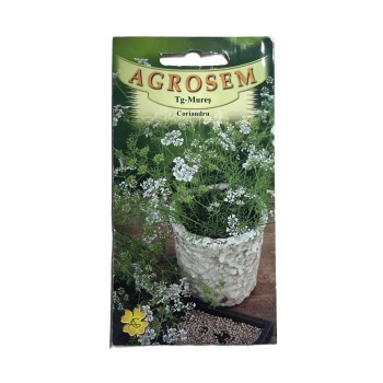 Seminte Coriandru Agrosem - 3 grame