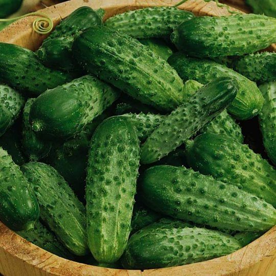 Seminte castraveti cornichon Paris National - 2 grame