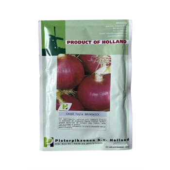Seminte ceapa rosie Brunswick - 25 grame