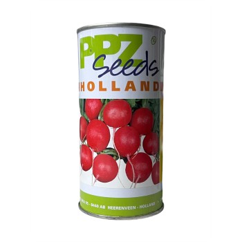 Seminte ridichi de luna Cherry Belle - 250 grame