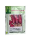 Seminte sfecla rosie Cylindra - 25 grame