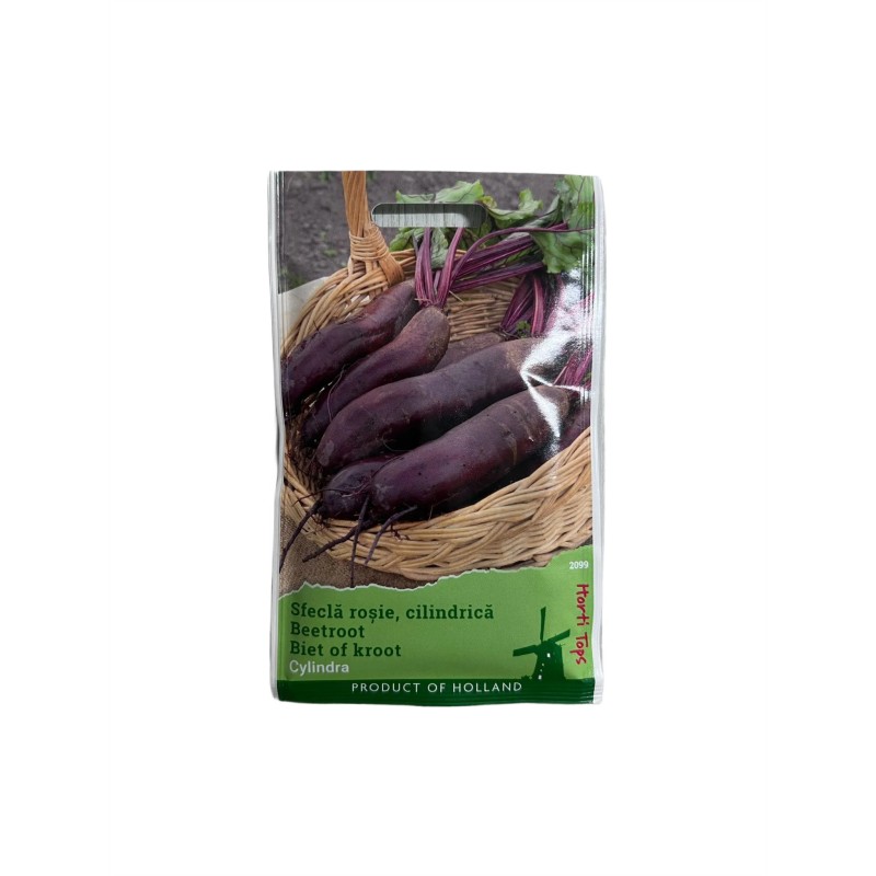 Seminte sfecla rosie Cylindra - 5 grame