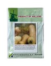 Seminte dovleac de copt Waltham Butternut - 10 grame