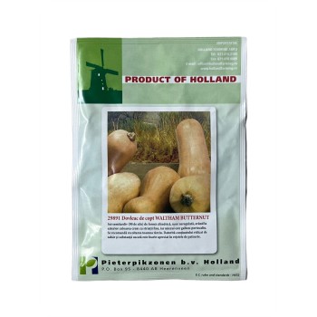 Seminte dovleac de copt Waltham Butternut - 10 grame