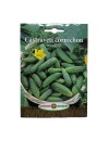 Seminte castraveti Delikatess - 3 grame