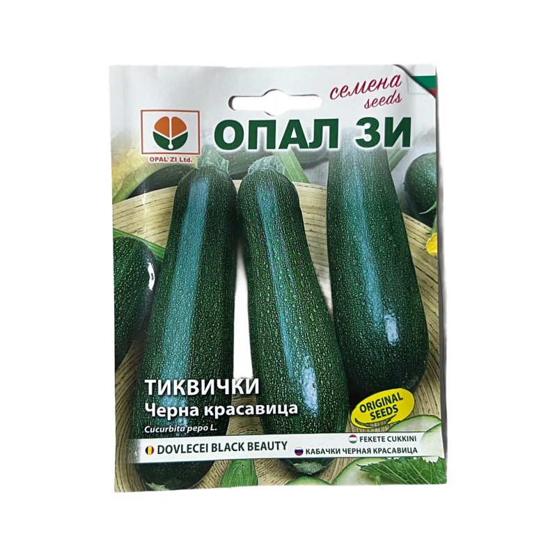 Seminte dovlecel Black Beauty - 5 grame