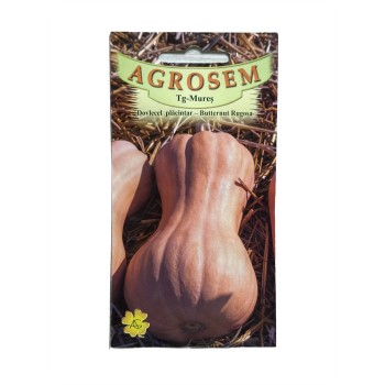 Seminte dovleac placintar Butternut Rugosa - 1.5 grame