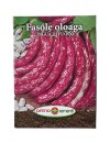 Seminte fasole oloaga Lingua di Fuoco - 500 grame