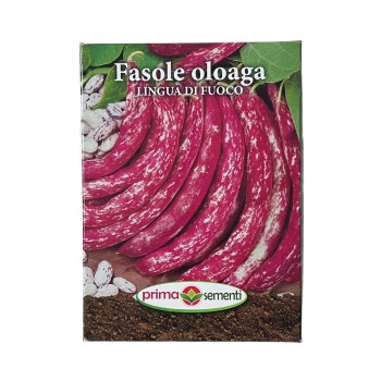 Seminte fasole oloaga Lingua di Fuoco - 500 grame