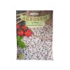 Seminte fasole pitica pentru boabe Great Northern - 80 grame